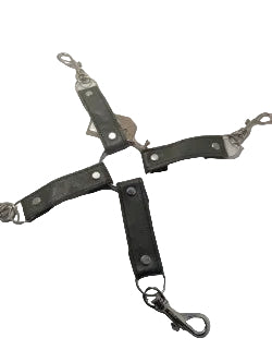 Hogtie