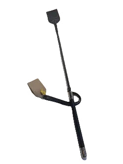 Vampire riding crop