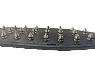 Spike paddle
