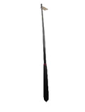 Black cane