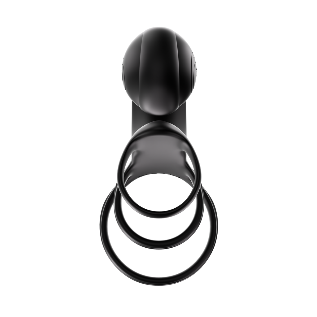 SVibe Snail JOVI ARC Couples Ring