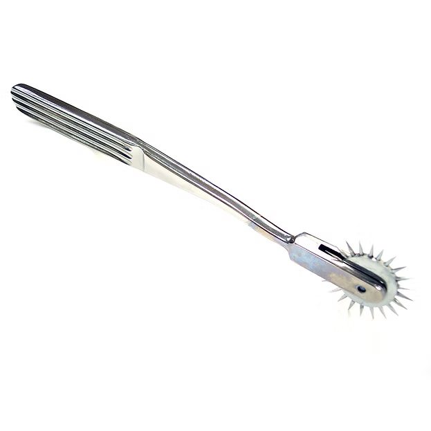 Rouge stainless steel single pin wheel