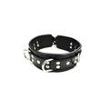 Rouge 5 D-Ring Padded Collar