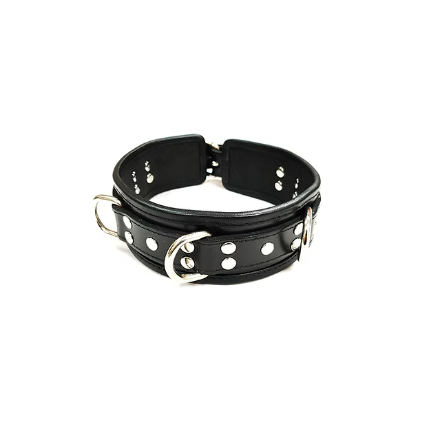 Rouge 5 D-Ring Padded Collar