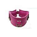 Rouge Posture collar