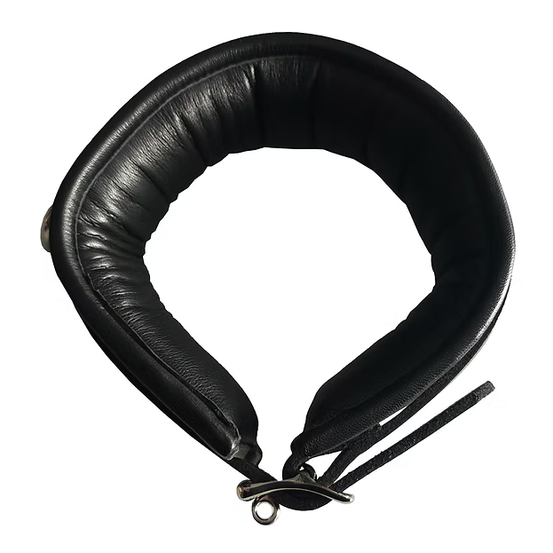 Rouge 3 D-Ring Padded Collar