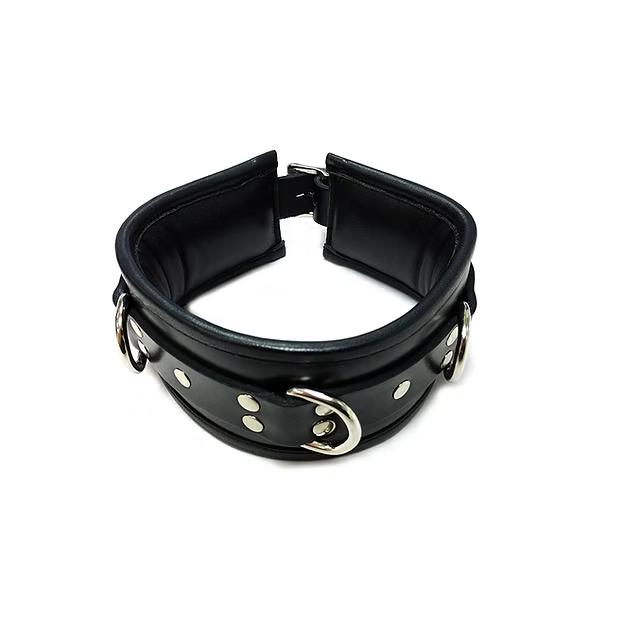 Rouge 3 D-Ring Padded Collar