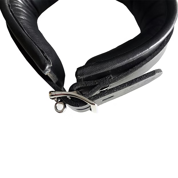 Rouge 3 D-Ring Padded Collar